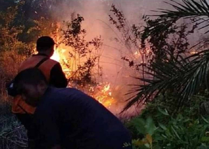 Sekitar 10 Hektar Lahan Perusahaan di Kecamatan Lawang Wetan Muba Terbakar