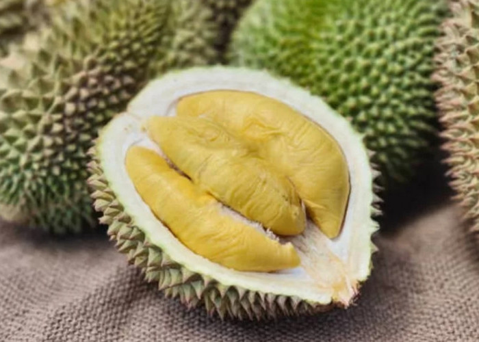 Bukan Sanga Desa, Ternyata Kecamatan Ini Paling Banyak Penghasil Buah Durian di Muba Tahun 2023