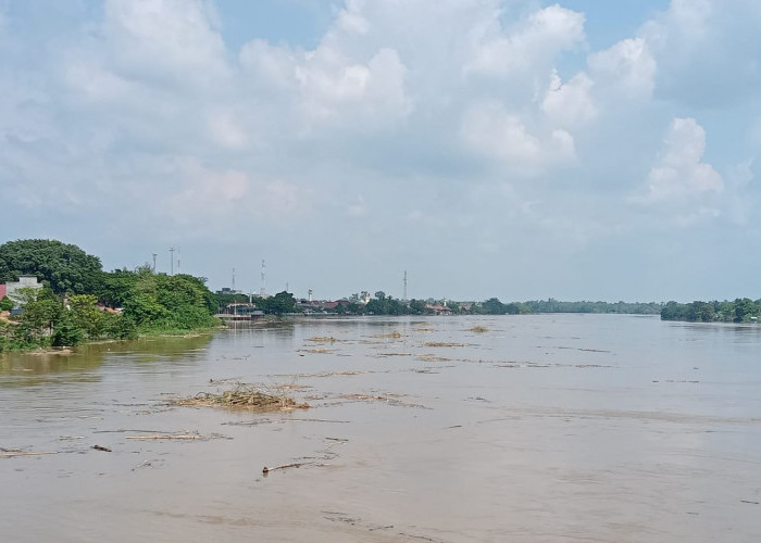 Banyak 'Rempan' di Sungai Musi, Siap-Siap Pertanda Air Sungai Akan Terus Naik