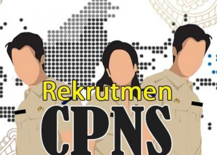 Siap-Siap, Besok Pembukaan Pendaftaran CPNS dan PPPK, Pemerintah Daerah di Sumsel Sudah Melakukan Persiapan