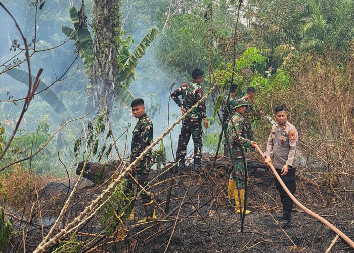 Gerak Cepat Tim Terpadu Padamkan Karhutla di Sungai Lilin Jaya, Api Tak Sampai Meluas