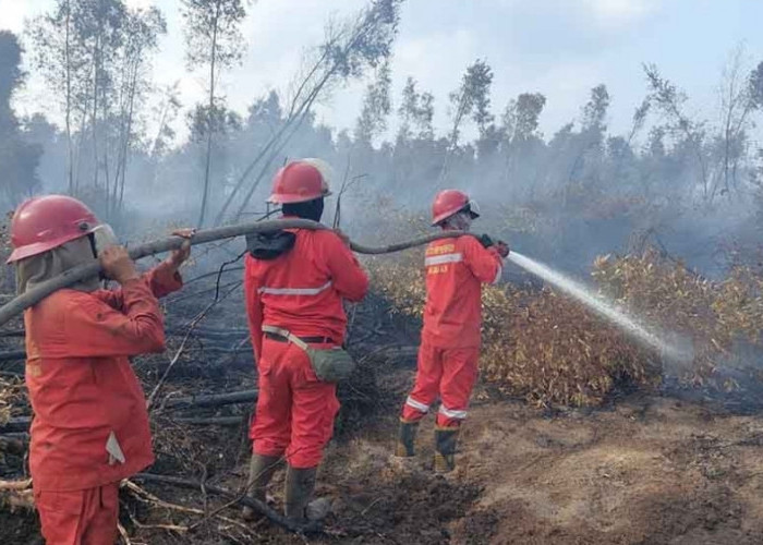 Karhutlah di OKI Meningkat, Terpantau 48 Titik Fire Spot