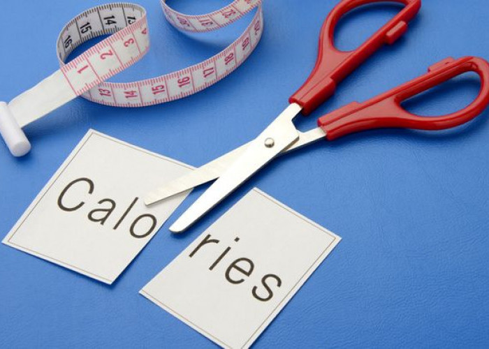 Bernarkah Pembatasan Asupan Kalori Bisa Perpanjang Umur? Ini Jawabannya Menurut Penelitian 