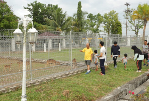 Gratis, Wisata Rusa Totol Rumdin Bupati Muba Dibuka untuk Umum