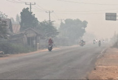 Kabut Asap Kembali Selimuti Jalintim Sungai Lilin, Jarak Pandang Pengendara Terbatas