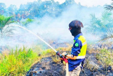 Tim Gabungan dan Perusahaan Bahu-Membahu Jinakkan Karhutla di Sungai Lilin Jaya  ​