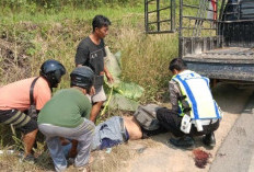 Lakalantas di Jalintim Tungkal Jaya Pemotor Tewas Usai Tabrakan dengan Truk 