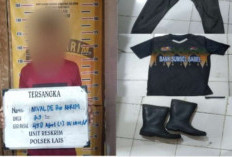 Pembunuhan di Kebun Sawit Lais Terungkap, Pelaku Menyerahkan Diri ke Polisi