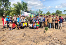 Program Ketahanan Pangan, Pemdes Jud I Laksanakan Penanaman Jagung
