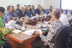 Revitalisasi Jembatan P.6 Lalan Dikebut, Pemerintah Kabupaten Musi Banyuasin Tekankan Skema Pembangunan Aman