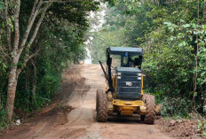 Bupati Muba Perintahkan Perbaikan Jalan Simpang Sari–Ulak Paceh
