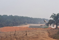 Jalur Tol Betung–Tungkal Jaya Mulai Dibuka di Karya Maju
