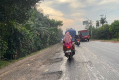 Menjelang Mudik 2026, Jalan Lintas Timur Palembang–Betung Kian Rusak, Warga Desak Perbaikan Total