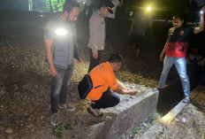 Gugur Saat Bertugas, Penjaga Perlintasan Rel di Prabumulih Tewas Terserempet Kereta Babaranjang