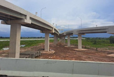 Empat Jalan Tol Dorong Sumsel Jadi Hub Logistik Baru di Sumatra