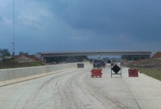 Terobos Hutan dan Rawa, Empat Tol Raksasa Ubah Peta Ekonomi Sumatera Selatan