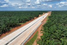 Pemkab Muba Usulkan Dua Titik Exit Tol Betung Jambi, Disini Lokasinya