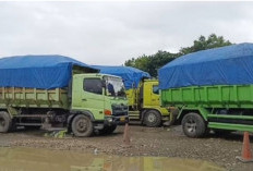 Toleransi Berakhir, Truk Batu Bara Jambi–Bengkulu Resmi Dilarang Melintas di Sumsel