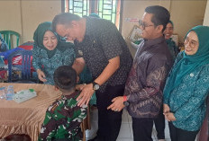 Camat Sungai Lilin Kunjungi Desa Linggosari, Dorong Penguatan Posyandu dan Potensi Desa