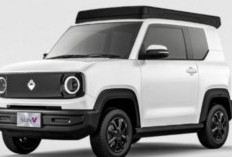 MAB Gandeng Mitra Global, Indonesia Siap Produksi Mobil Listrik Tenaga Surya Pertama di Dunia