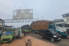 Truk Trailer Muatan Kayu Nyangkut di Reklame Jalintim Sungai Lilin, Arus Palembang–Jambi Macet 