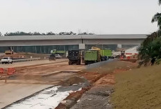 Tol Betung–Jambi Ngebut! Separuh Ruas Digarap, Begini Progres Pembangunanya