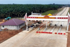Progres Tol Betung–Tempino–Jambi Capai 39,21 Persen, Konektivitas Sumsel–Jambi Makin Nyata