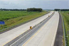 Tol Jambi–Rengat Sepanjang 198 Km Masuk Tahap Perencanaan, Bakal Buka Akses Baru Jambi–Riau