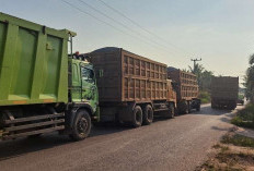 Lalu Lintas Truk Proyek Tol Betung–Jambi di Jalan Talang Siku Keluang Meningkat, Ini Keluhan Warga