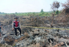 Diduga Lalai hingga Kebun Sawit di Sridamai Terbakar, Warga Sungai Lilin Diamankan Polres Muba