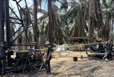 11 Sumur Minyak Ilegal Terbakar di Hindoli, Polda Sumsel Bongkar Dugaan Jaringan Pelaku