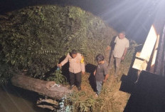 Tenggelam Saat Mandi di Sungai Batanghari Leko, Helper Alat Berat PT AAP Belum Ditemukan