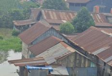 BMKG Sumsel Peringatkan Puncak Air Pasang 14–17 Februari, Tinggi Muka Air Bisa Capai 3,7 Meter