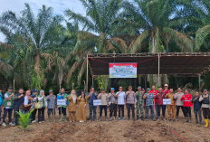 Kolaborasi Polisi, TNI dan Perusahaan di Lais Tanam Jagung 1,5 Hektare, Dorong Ketahanan Pangan Muba