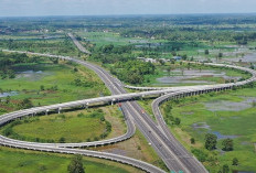 Dari Jalur Lintas ke Pusat Distribusi, Tol Trans Sumatera Ubah Wajah Ekonomi Sumsel