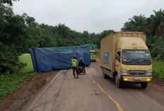Truk Tronton Bermuatan Tisu Alami Kecelakaan di Jalintim Palembang–Jambi, Arus Lalu Lintas Sempat Macet Panjan