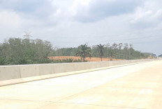 Tol Palembang–Jambi Kian Nyata, Waktu Tempuh Dipangkas Drastis  