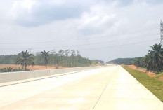 Tol Betung-Jambi Ditargetkan Tersambung 2027, Masalah Ganti Rugi Lahan Mulai Diselesaikan