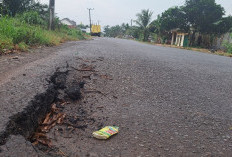 Box Culvert Retak di Jalan Simpang Talang Siku Makin Parah, Warga Khawatir Ambrol