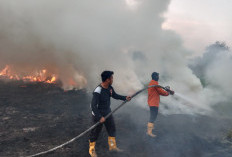 Dua Titik Karhutbunla di Serasan Jaya Berhasil Dipadamkan, Total Tiga Hektare Lahan Terbakar