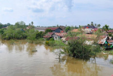 Pasang Besar Sungai Dawas Rendam Empat Dusun di Pinang Banjar, Ratusan KK Terdampak