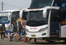 Kuota Mudik Gratis 2026 Masih Tersedia, Ini Cara Cek dan Daftar Online di Nusantara Kemenhub