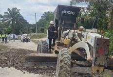 Dampak Nyata Kolaborasi: Akses Jalan Pulai Gading Membaik, Ekonomi Warga Ikut Terdongkrak