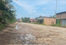 Terdampak Pembangunan Tol Betung Jambi, Begini Kondisi Jalan Sungai Lilin - Keluang