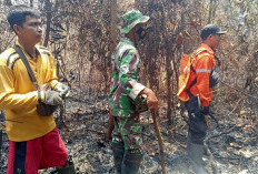 Hotspot Terdeteksi Satelit, Bupati Toha Instruksikan Tim Karhutla Muba Langsung Turun ke Lapangan