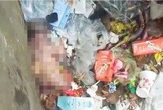 Polisi Selidiki Penemuan Bayi Tewas di Kertapati Palembang, Diduga Baru Dilahirkan