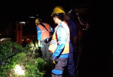 Respon Cepat, Damkar Muba Jinakkan Api di Atap Rumah Warga Sekayu