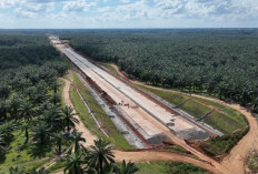 Tol Betung–Jambi Dikebut, Hutama Karya Perkuat Jalur Logistik Sumsel–Jambi hingga Riau