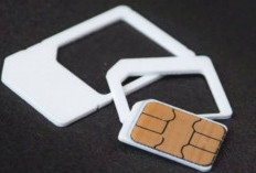 Registrasi SIM Berbasis Biometrik Disiapkan, Kemkomdigi Fokuskan Penerapan Bertahap Mulai 2026