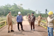 Jembatan Besi Rampung, Warga Babat Supat Tak Lagi Menyeberang di Atas Batang Kelapa
